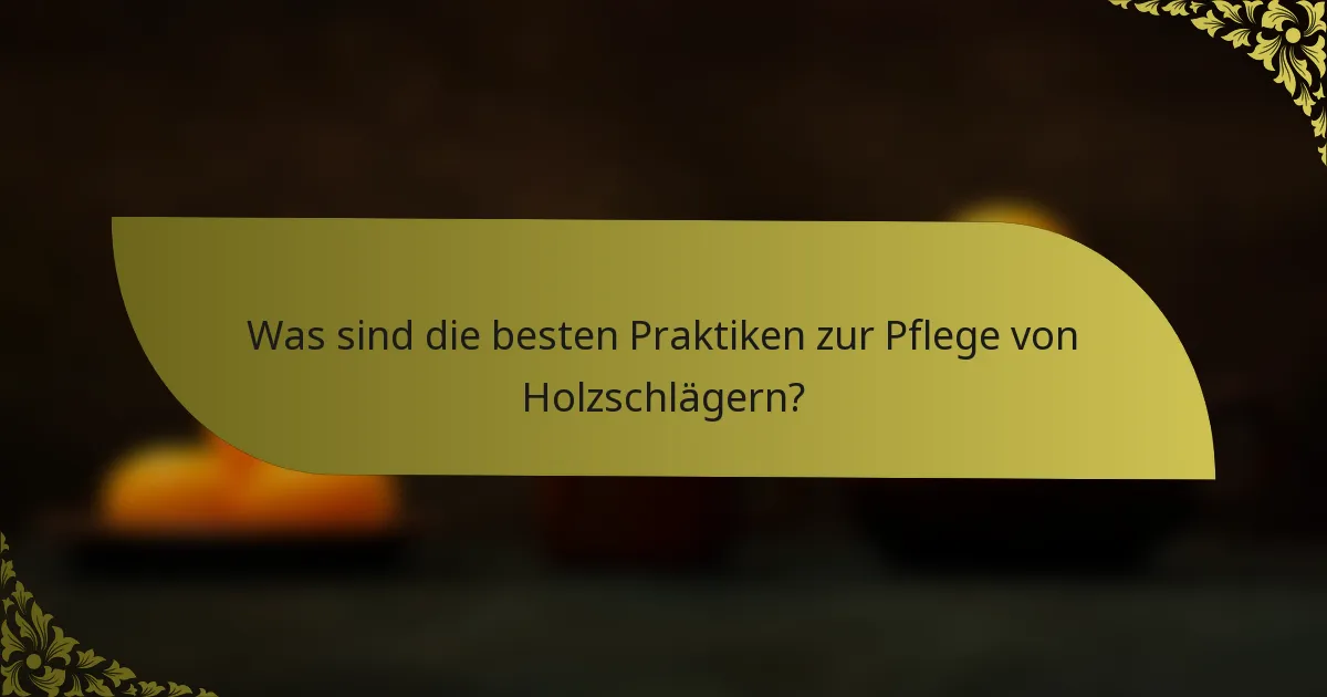 Was sind die besten Praktiken zur Pflege von Holzschlägern?
