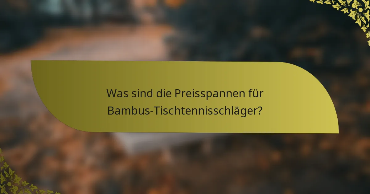 Was sind die Preisspannen für Bambus-Tischtennisschläger?