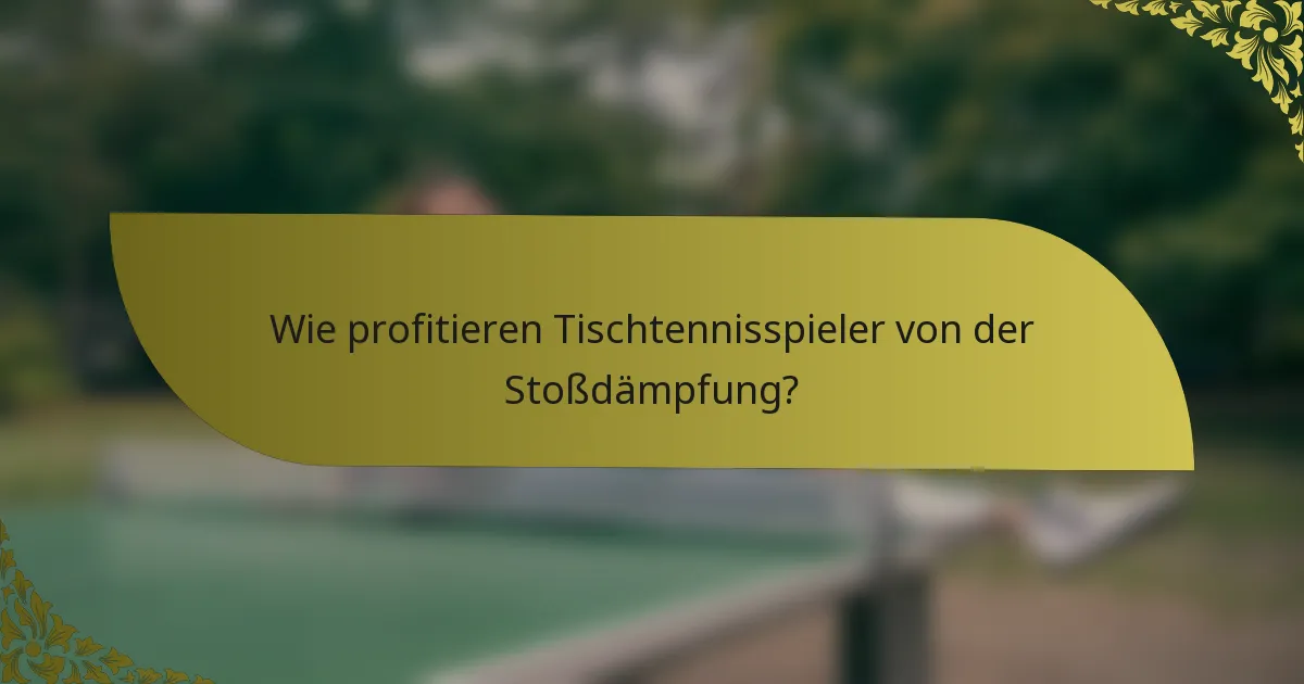 Wie profitieren Tischtennisspieler von der Stoßdämpfung?
